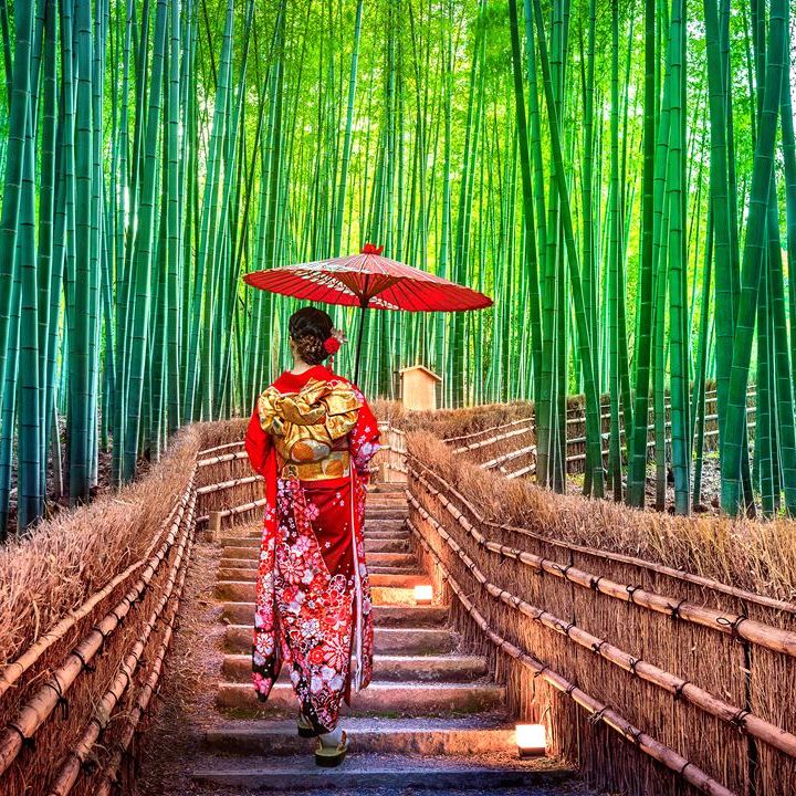Bambusowy las Arashiyama